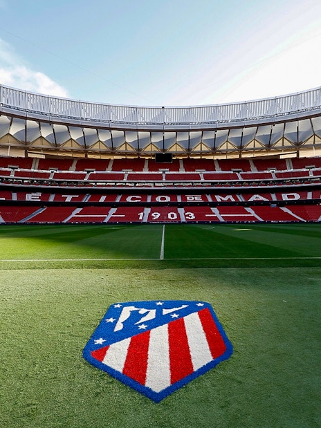 Cívitas Metropolitano stadium field with Atlético Madrid logo, part of the "Territorio Atleti" tour.