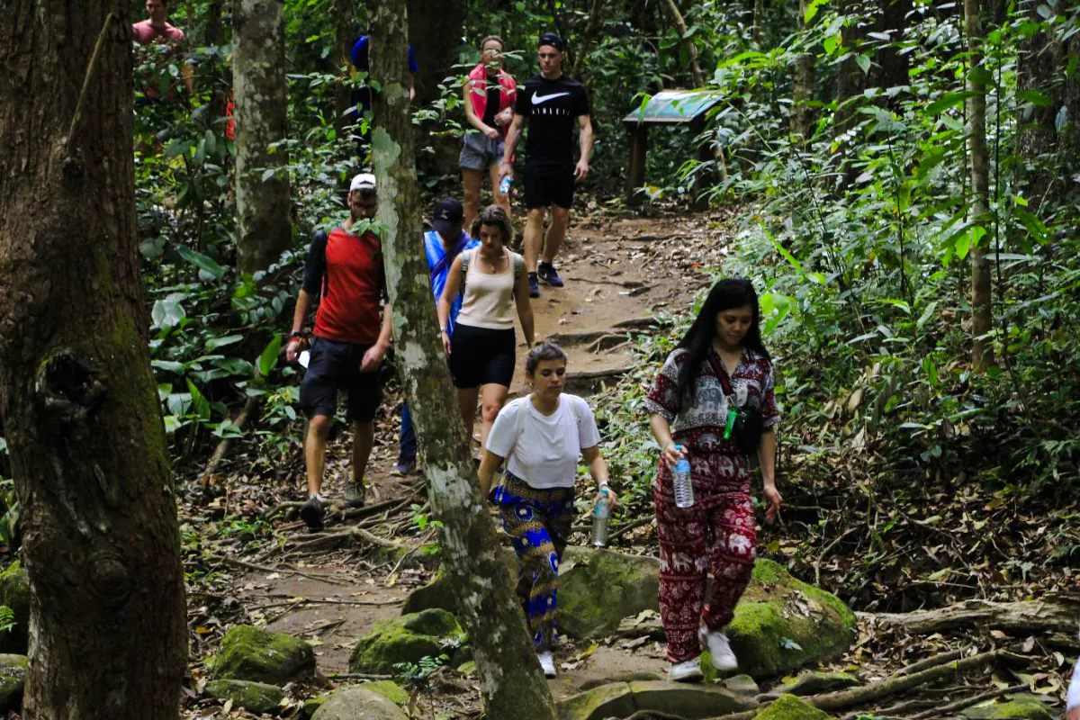 fra chiang mai: elefantreservat og fottur i doi inthanon nasjonalpark-6