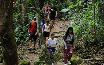 fra chiang mai: elefantreservat og fottur i doi inthanon nasjonalpark-6