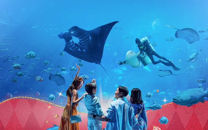 Family watching diver and marine life at aquarium.