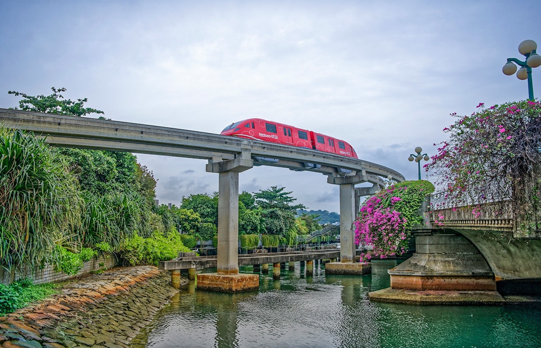 sentosa dolphin