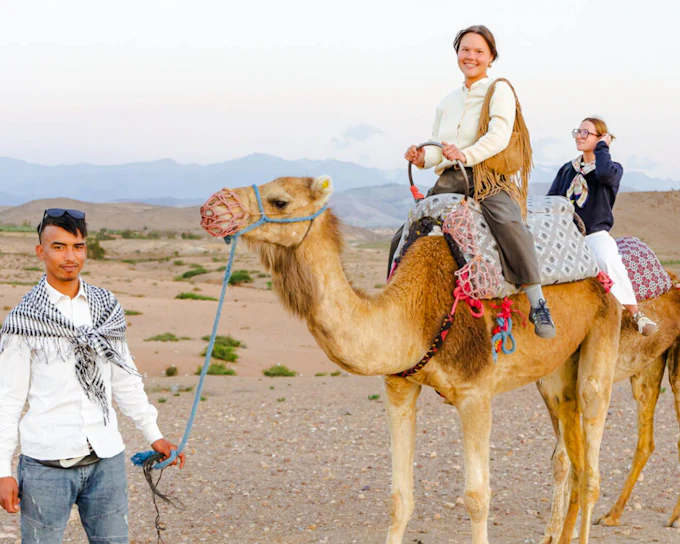 Sunset Desert Tour with Camel Ride, Dinner Show & Transfers