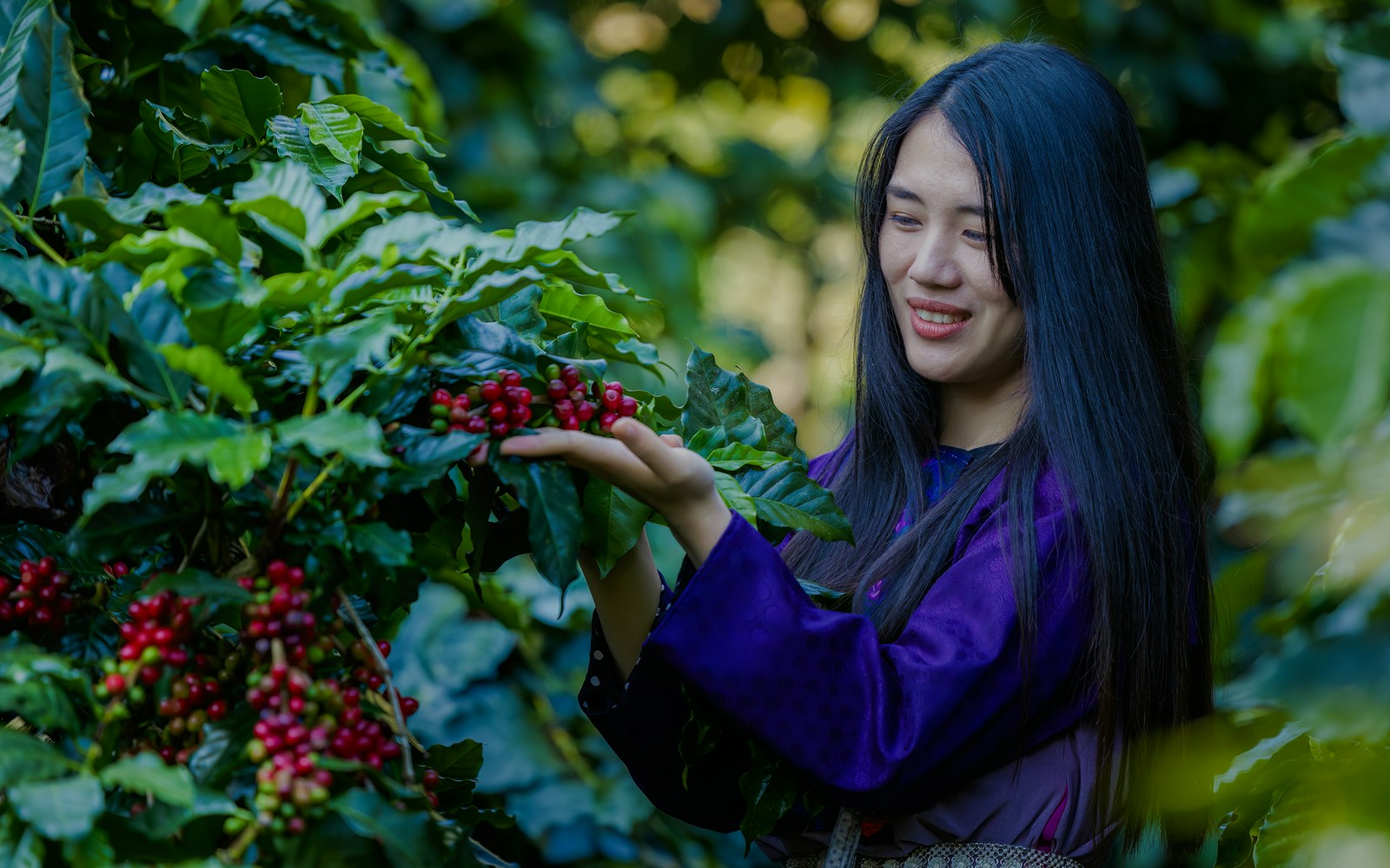 Green World Coffee Farm