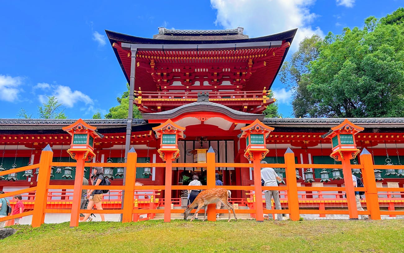 Kasuga-taisha Shrine with deer in Nara, Japan, part of Nara and Kyoto One-Day Bus Tour.