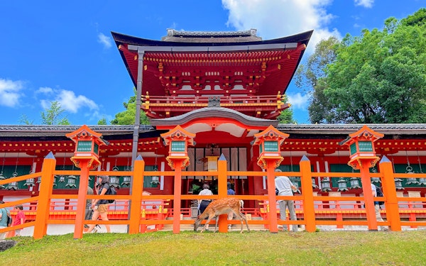 Nara and Kyoto One-Day Bus Tour