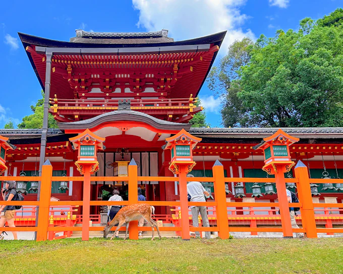 Nara and Kyoto One-Day Bus Tour