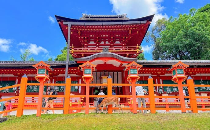 Kasuga-taisha Shrine with deer in Nara, Japan, part of Nara and Kyoto One-Day Bus Tour.