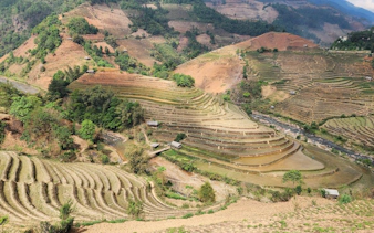Terraced rice fields in Mu Cang Chai, Vietnam, viewed during a private car tour with a local guide.