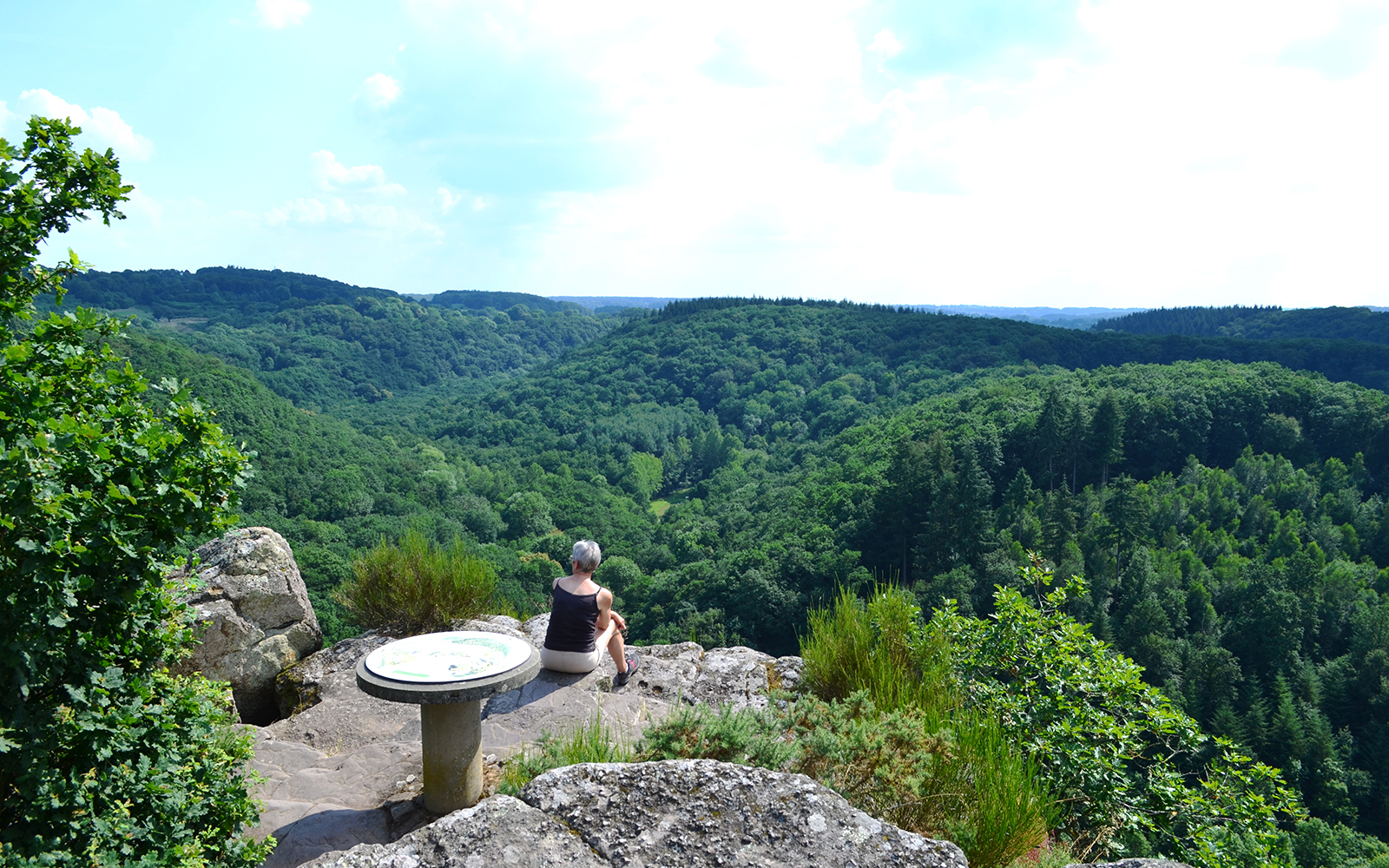 Roche d'Oëtre cliff view in Normandy, showcasing lush forest landscape and scenic hiking trails.