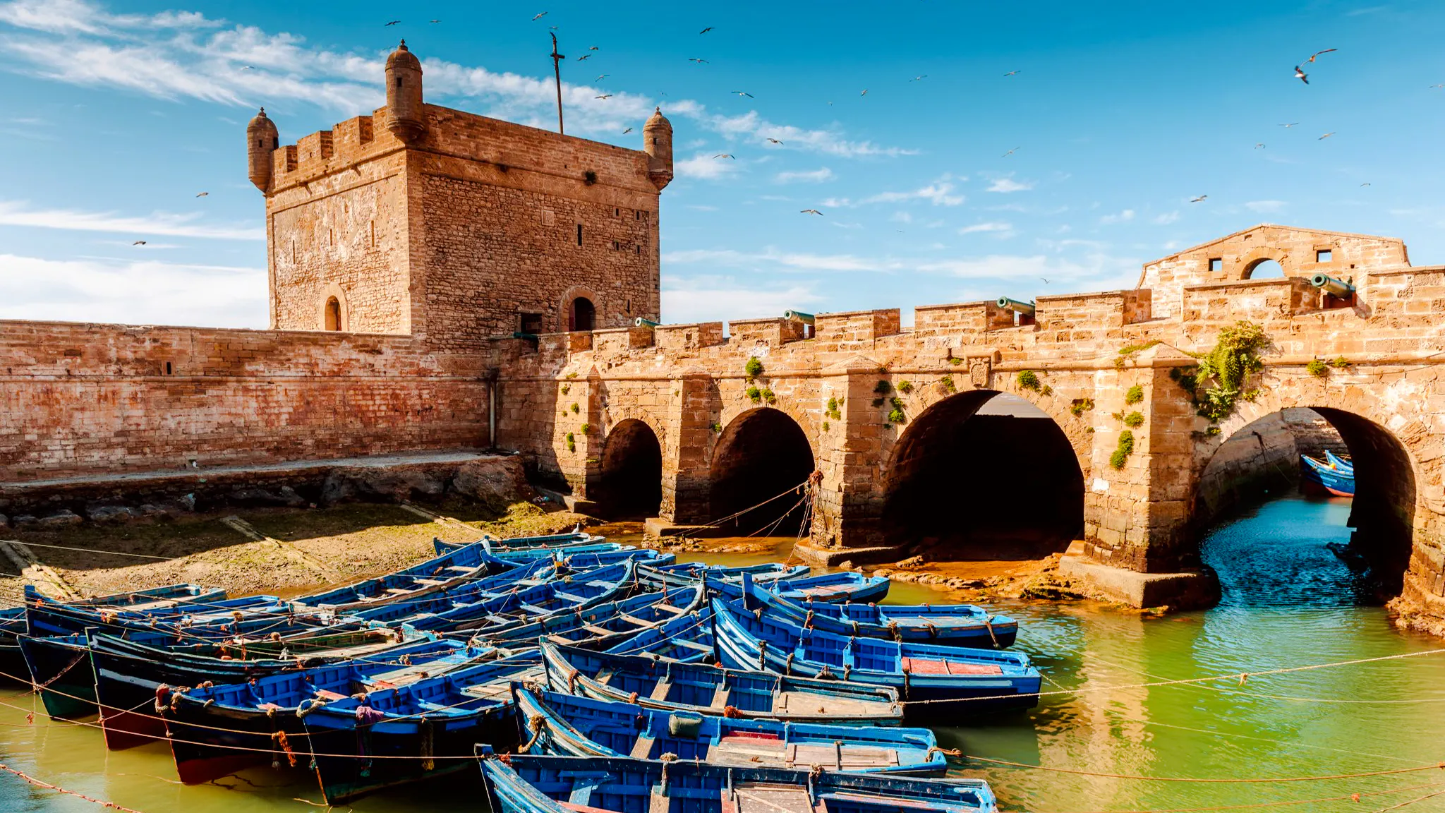 From Taghazout: Essaouira Day Trip Image 6