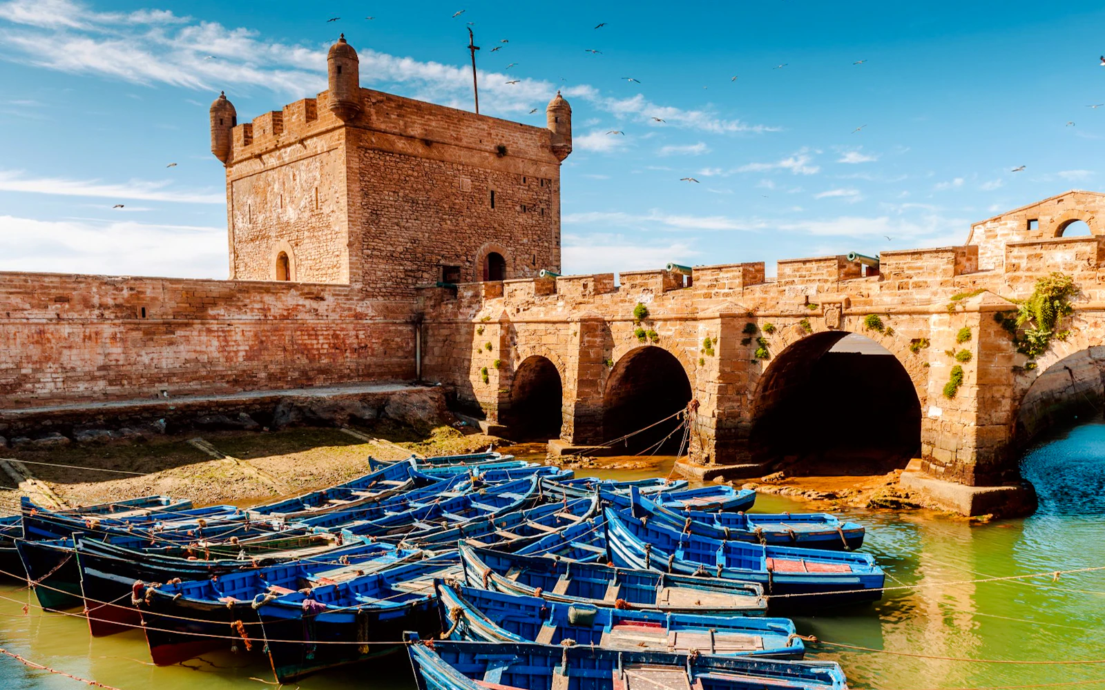 From Taghazout: Essaouira Day Trip Image 6