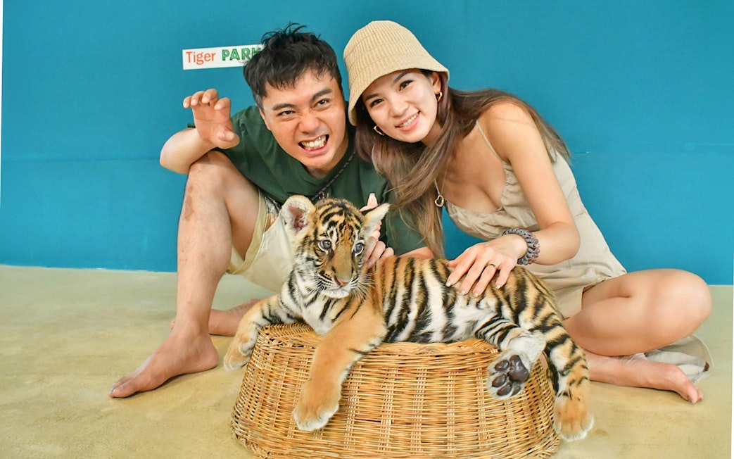Visitors interacting with a tiger cub at Tiger Park Pattaya.