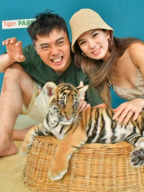 Visitors interacting with a tiger cub at Tiger Park Pattaya.