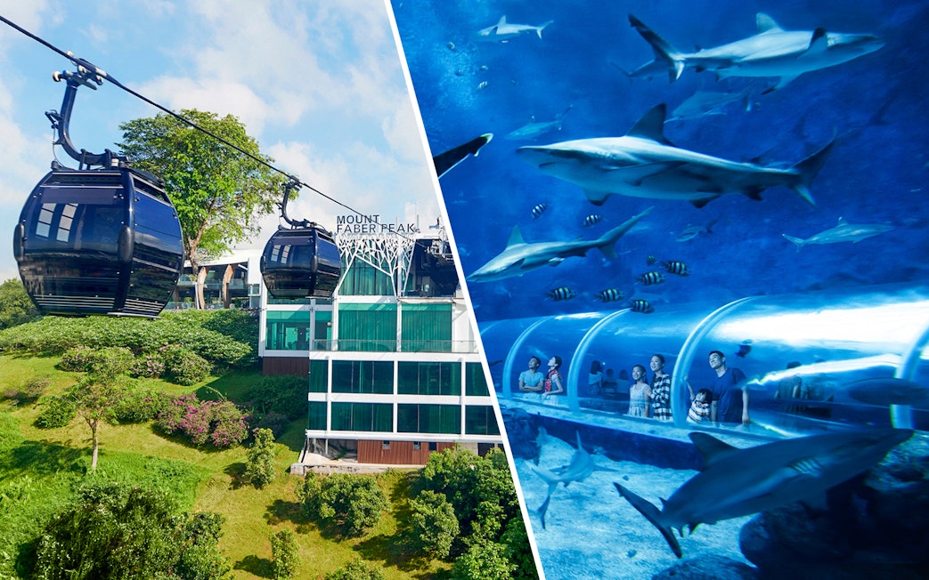 Cable car on Mount Faber line, Singapore, with aquarium tunnel and sharks.
