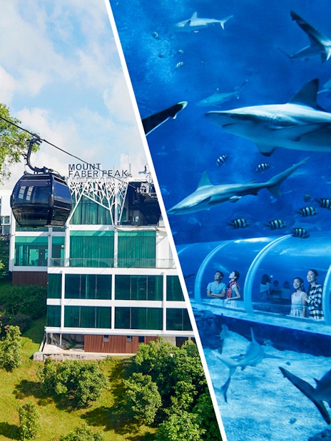 Cable car on Mount Faber line, Singapore, with aquarium tunnel and sharks.