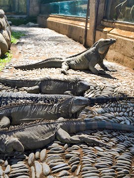 Bali Reptile Park