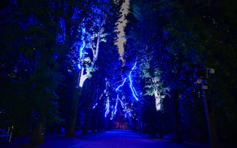 „serralves in light 2026“ – tickets-11