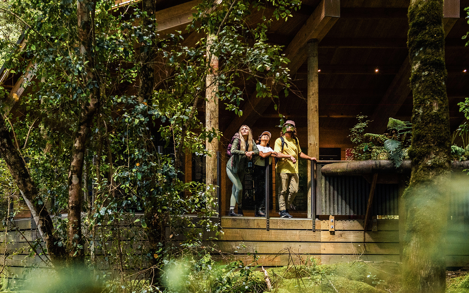 Tourists exploring Te Anau Glowworm Caves entrance surrounded by lush forest.