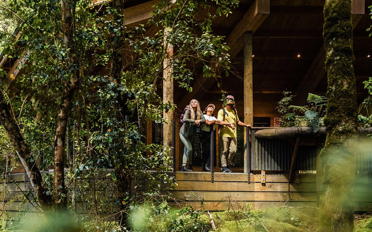 Tourists exploring Te Anau Glowworm Caves entrance surrounded by lush forest.