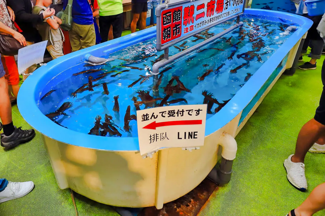 do porto de hakodate: excursão privada em terra com embarque e traslados de volta-1