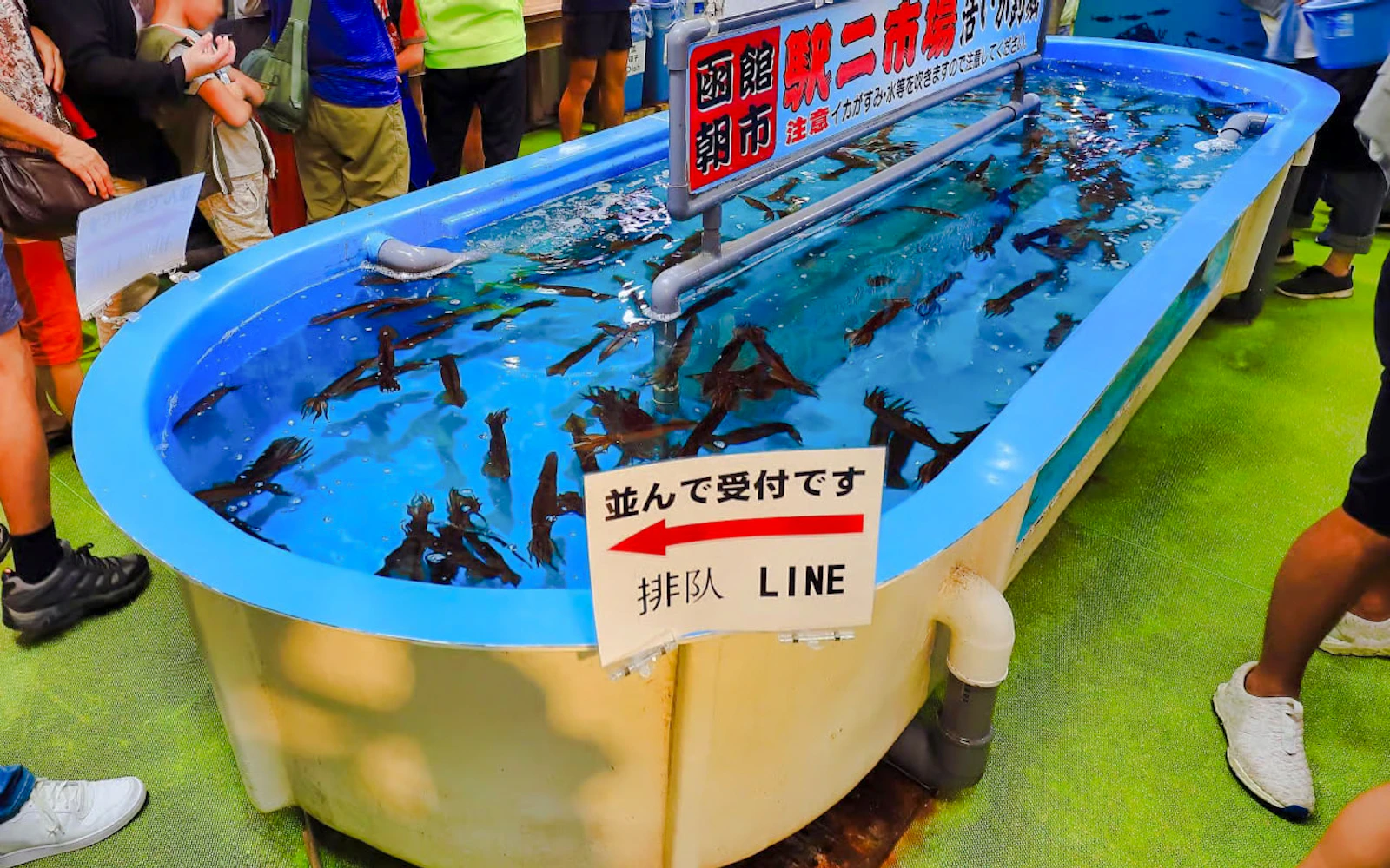 From Hakodate Port: Private Shore Excursion with Pickup and Drop-Off