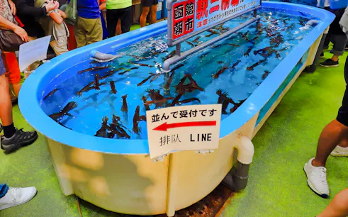 do porto de hakodate: excursão privada em terra com embarque e traslados de volta-1