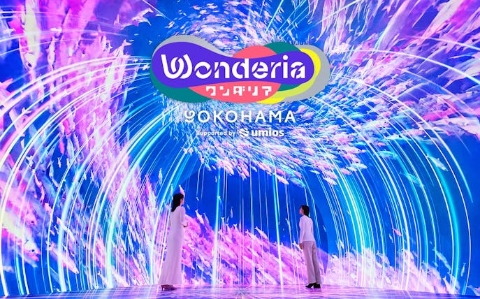 Interactive digital art display at Wonderia YOKOHAMA with vibrant colors and immersive visuals.