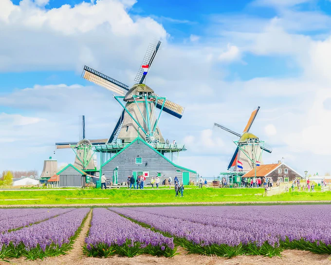 From Amsterdam: Zaanse Schans, Volendam, Edam and Marken Guided Tour