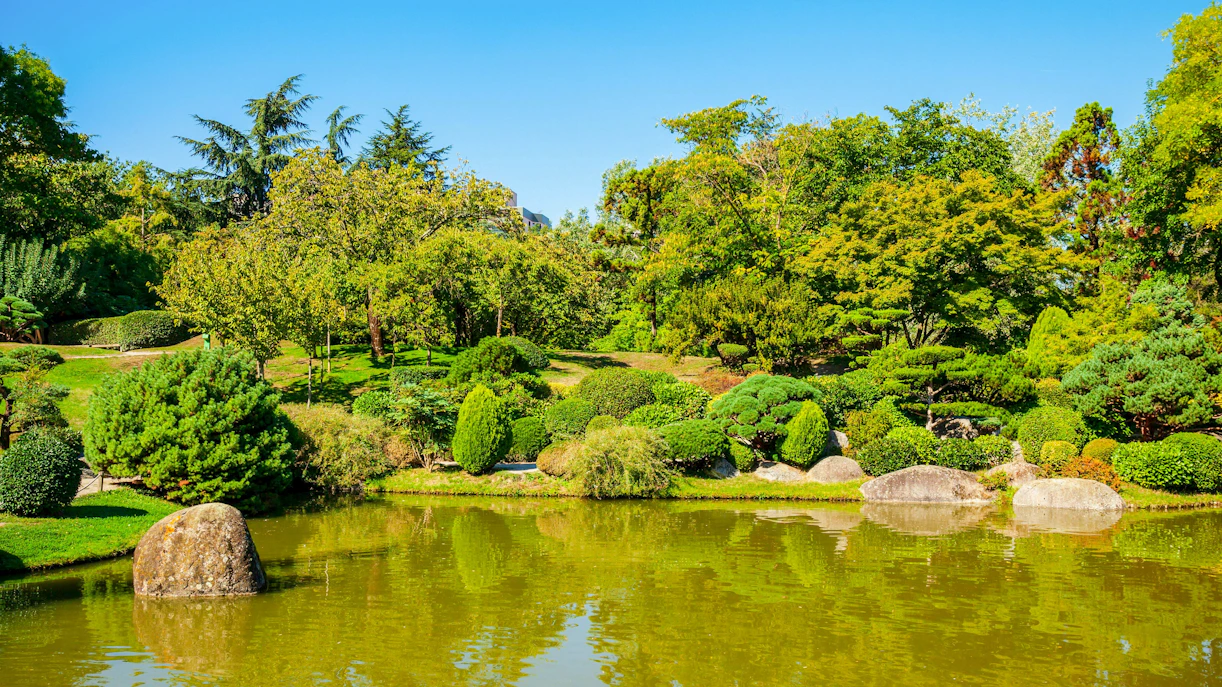 Botanical Garden Jardin des Plantes with lush greenery and a tranquil pond.