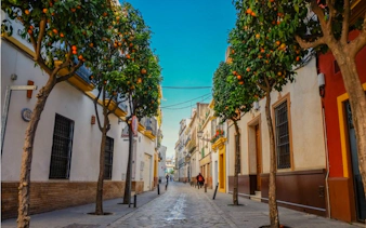 Narrow street in Seville Old Town lined with orange trees and traditional buildings.
