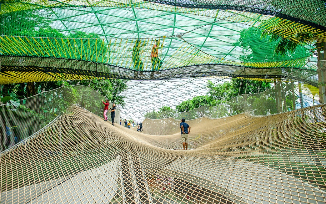 Visitors walking on the net at Canopy Park, Jewel Changi, surrounded by greenery.