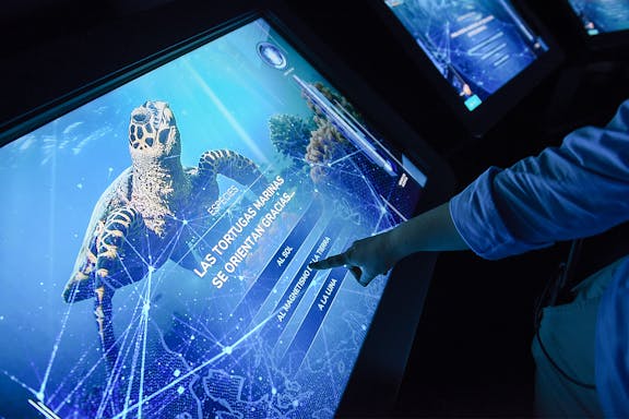 biglietti per l'acquario atlantis di madrid: salta la coda-7