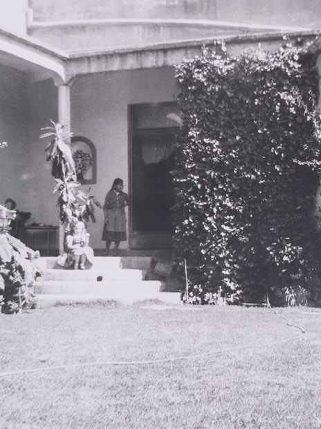 Courtyard of Museo Casa Kahlo with people on steps and lush greenery.