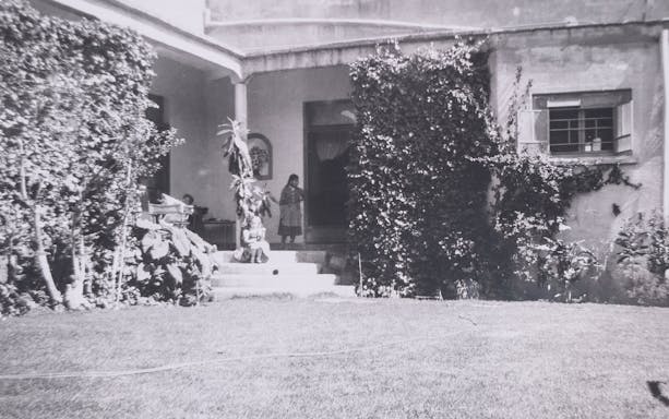Courtyard of Museo Casa Kahlo with people on steps and lush greenery.