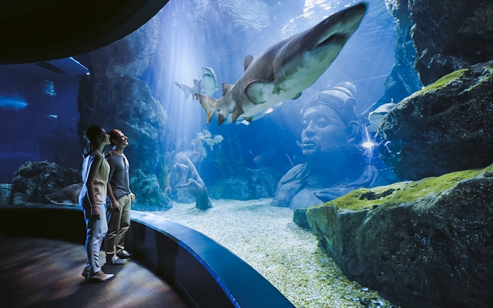 Sharks swimming in a tank at Sea Life Bangkok with visitors observing.
