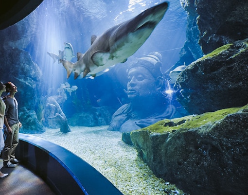 Sharks swimming in a tank at Sea Life Bangkok with visitors observing.