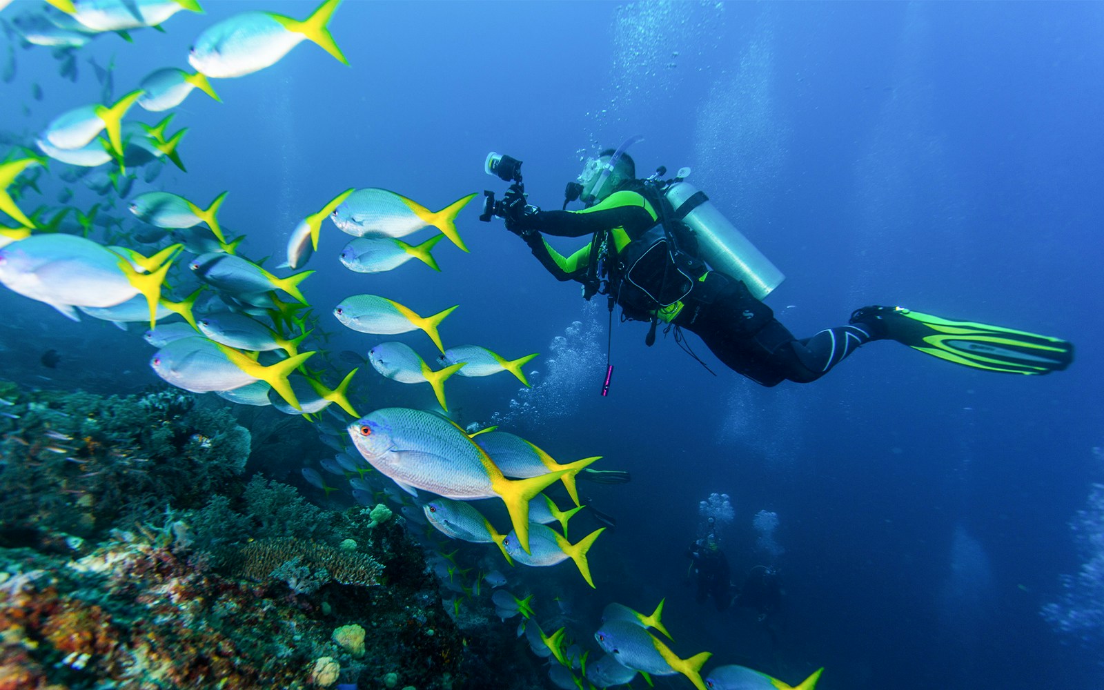 Scuba divers exploring vibrant coral reef in the Maldives.