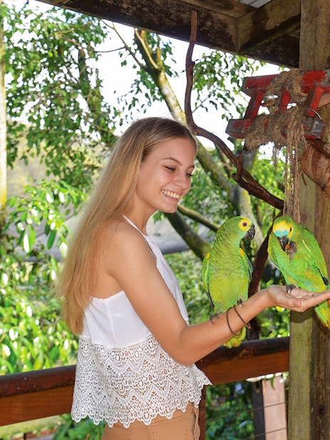 Person interacting with parrots at Birdworld Kuranda, surrounded by lush greenery.