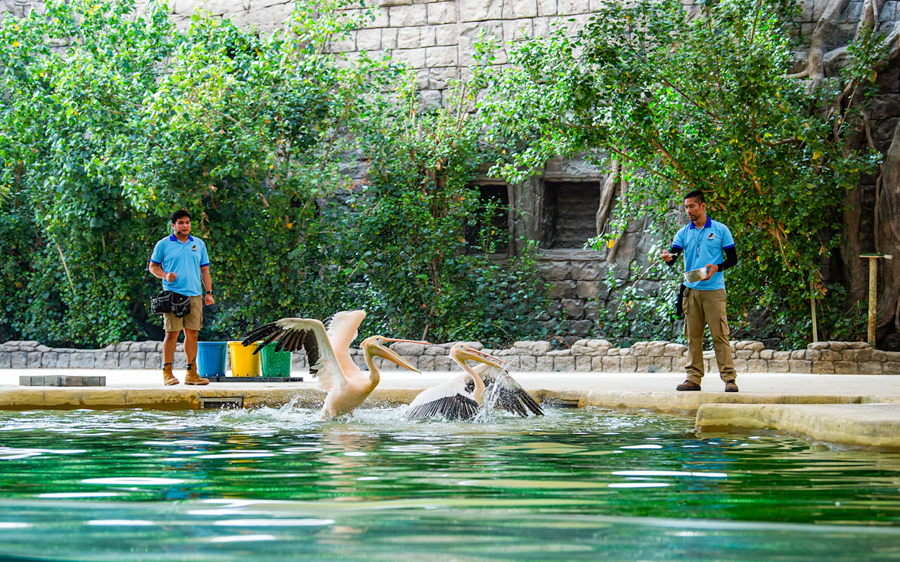 Dubai Safari Park Tickets — 3