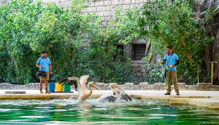 Dubai Safari Park Tickets