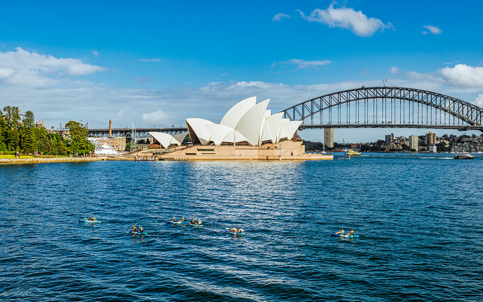 Kayak all'alba nel porto di Sydney con colazione — 8