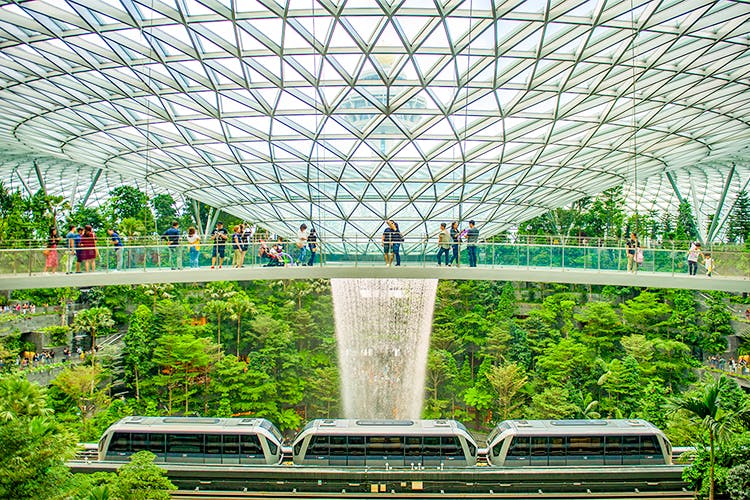 canopy park jewel changi