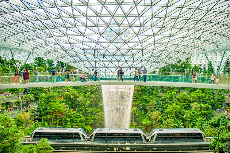 canopy park jewel changi

 