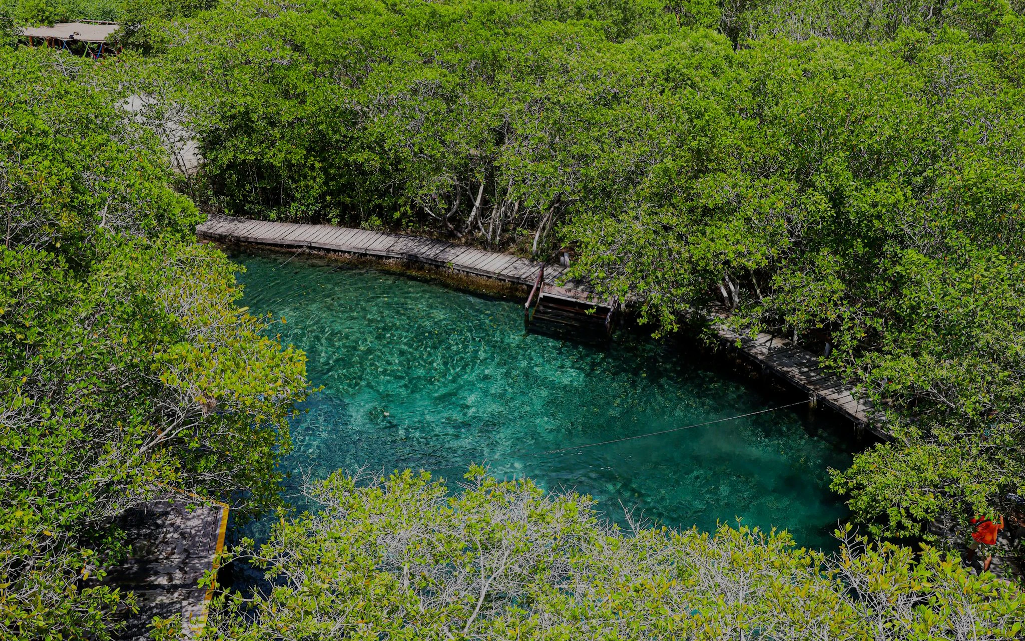Yalahau Cenote