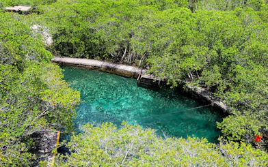 From Cancún: Holbox Island Day Trip with Isla Pasión, Punta Mosquito & Yalahau Spring