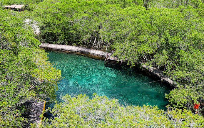 From Cancún: Holbox Island Day Trip with Isla Pasión, Punta Mosquito & Yalahau Spring