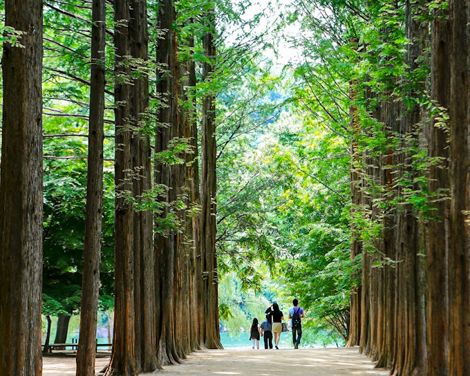 Nami Island & Mount Seorak Day Tour