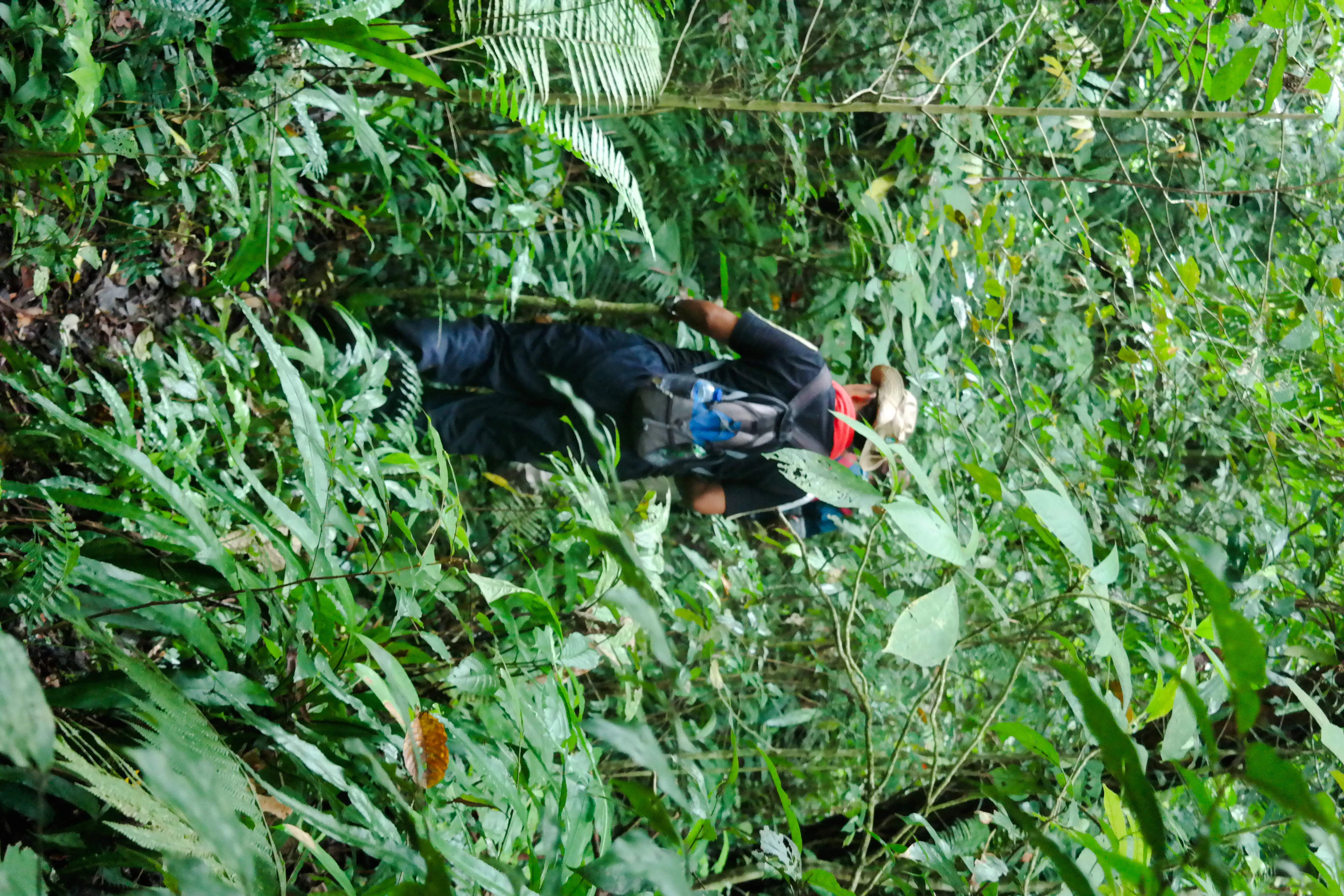 Bali Jungle Trekking, Canoeing & Waterfall Experience