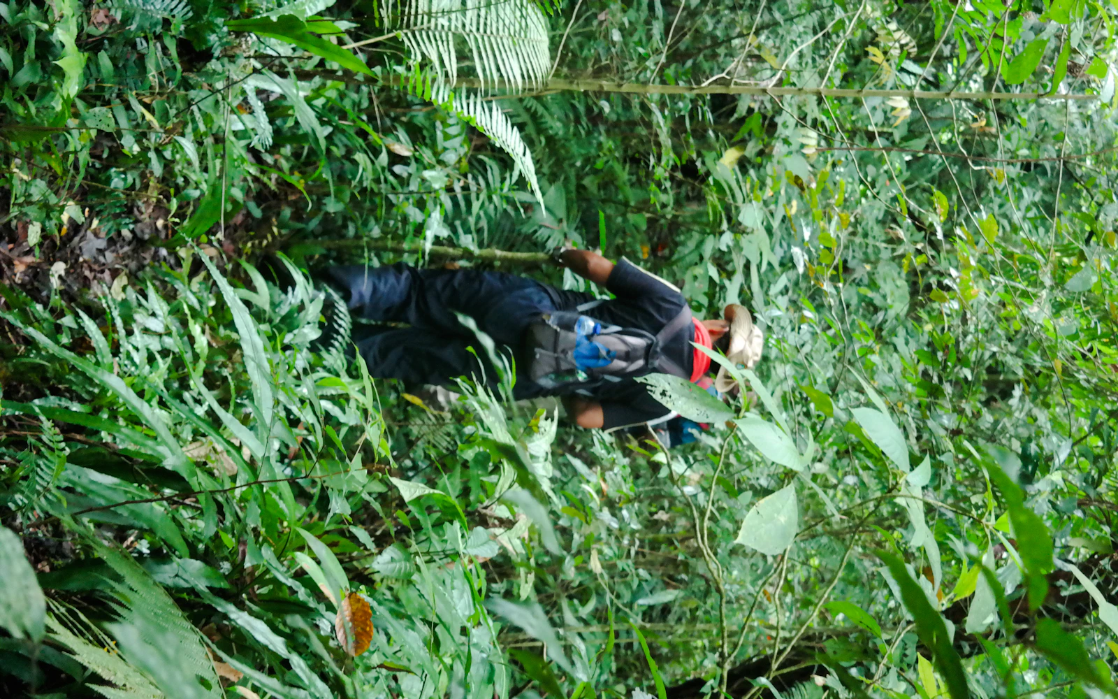 Bali Jungle Trekking, Canoeing & Waterfall Experience