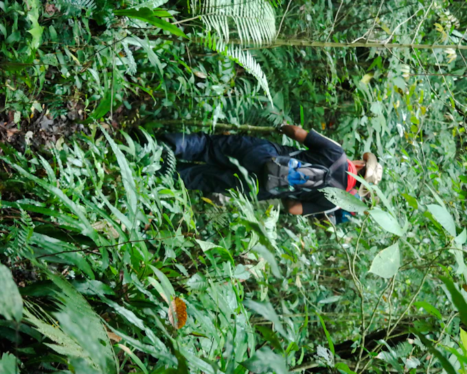 Bali Jungle Trekking, Canoeing & Waterfall Visit with Lunch and Round-Trip Hotel Transfers (Product 52641)